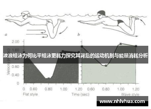 波浪蛙泳为何比平蛙泳更耗力探究其背后的运动机制与能量消耗分析